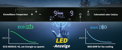 Kühlbox Auto 40L mit LED-Beleuchtung 12/24V DC und 110-240V AC