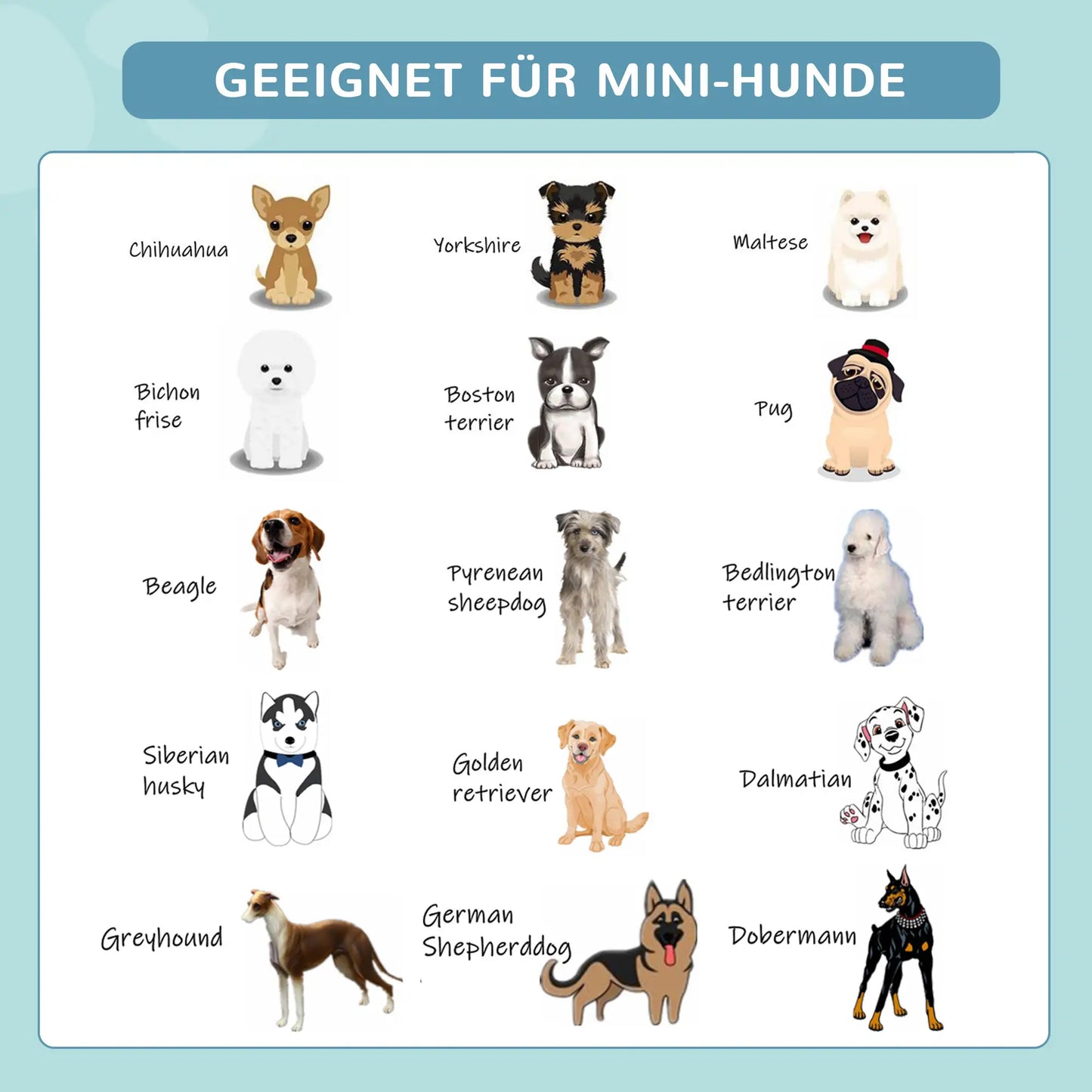 Hundebadewanne faltbar Ø160x30H cm